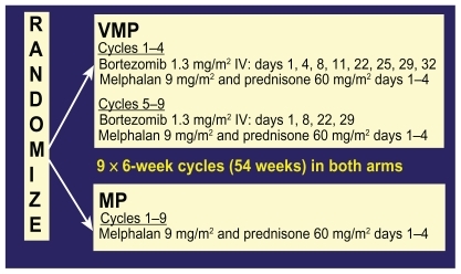 Figure 6 Chemotherapy schedule of bortezomib, melphalan, and prednisone (VMP) and melphalan and prednisone (MP) in the VISTA trial.