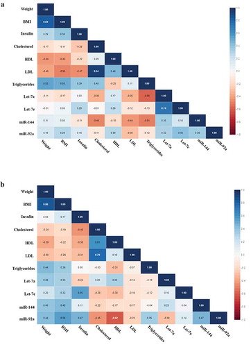 Figure 3. (a) Correlation matrix among microRNAs and clinical variables in IGR individuals who maintained or lost 3% in weight or more at baseline. Analysis were done by Pearson’s correlation, p ≤ 0.05. The r values for each correlation are shown in the squares. (b) Correlation matrix among microRNAs and clinical variables in IGR individuals who maintained or lost 3% in weight or more post-intervention. Analysis were done by Pearson’s correlation, p ≤ 0.05. The r values for each correlation are shown in the squares