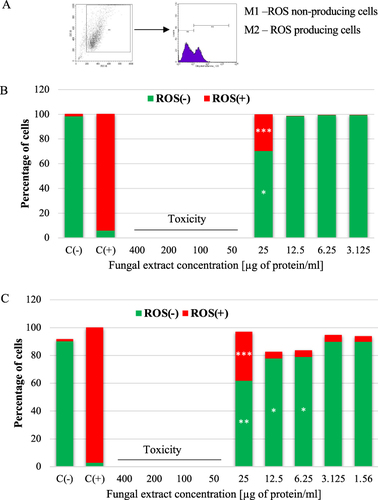 Figure 6 Effect of the E. palczewskii extract and on the production of reactive oxygen species (ROS) with gating strategy (A) in the A549 (B) and BEAS-2B (C) cells after 24-hour incubation. C(-) - negative control (without the addition of the fungal extract), C(+) - positive control (tBHP [50µM]), ROS(-) – ROS non-producing cells, ROS(+) – ROS producing cells. * - statistically significant difference compared to the negative control sample (Mann–Whitney U-test), *P≤0.05; **P≤0.01; ***P≤0.001. Data are representative of three independent samples.