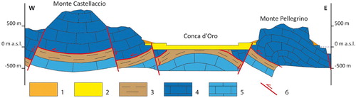 Figure 3. Geological section through the Conca d’Oro Plain (See Figure 1 for the track). Slope deposit (Middle Pleistocene – Holocene); 2. Coastal/marine deposit – Marsala synthem (Calabrian-Ionian); 3; Clay and quartz sandstone – Numidian flysh (Oligocene – Lower Miocene); 4. Limestone – Panormide succession of the upper tectonic units (Upper Triassic – Oligocene); 5. Limestone – Panormide succession of the lower tectonic units (Upper Triassic – Oligocene); 6 Fault or thrust.