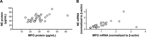 Figure 3 Correlations between (A) blood concentrations of MPO and NE protein (ρ=0.72, P<0.001, Spearman rank correlation) and (B) levels of mRNA for MPO and NE in blood leukocytes (r=0.85, P<0.001, Spearman rank correlation) in smokers with obstructive pulmonary disease and chronic bronchitis (n=34) during a clinically stable period at the time of inclusion.