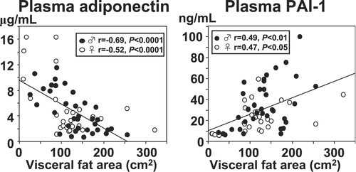 Figure 5. Correlation between CT‐determined visceral fat area and plasma levels of adiponectin and plasminogen activator inhibitor type 1 (PAI‐1). Plasma adiponectin levels correlated negatively, and plasma PAI‐1 levels correlated positively with the visceral fat area determined by CT scan.