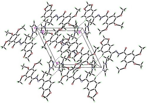 Figure 2 Molecular packing of compound 5o enables the viewing of hydrogen bonds which are drawn as dashed lines along b axis.