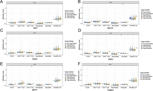 Figure 7 The effect of copy number alterations of key genes in HCC on immune cells. (A-F) the copy number alterations of MX1, ISG15, OAS1, PRF1,SPP1, and THBS1 in HCC on immmune cells, *Represents P-value <0.05.