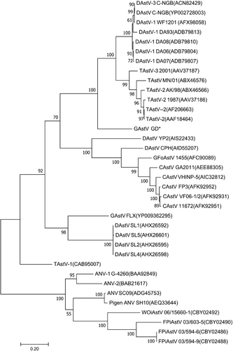Fig. 2 Phylogenetic tree analysis by MEGA7.Amino acid sequence encoded by ORF2 of avastrovirus GD labeled with star