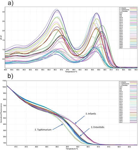 Figure 2. (a) Conventional and (b) normalized melt curve analysis of PCR products of the iclR family transcriptional regulator gene of salmonella from three reference strains and 23 field isolates.