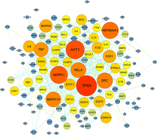 Figure 2 The PPI network based on SQG-NS common targets. Overlapping proteins are marked as nodes in this network and the interactions between the proteins are labeled as lines connecting nodes. The bigger nodes represent higher degree with darker color.