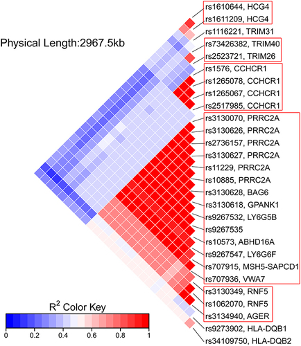 Figure 4 Linkage disequilibrium (LD) map among significant SNPs on chromosome 6. The color within each diamond represents the pairwise correlation (R2) between SNPs defined by the upper right and the lower right sides of the diamond. A darker red color represents a stronger LD. Five haplotype blocks are observed (outlined in red boxes).