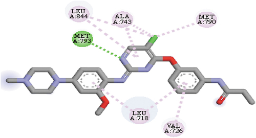 Figure 1. The native ligand (WZ4002) in the binding pose/active site of EGFRL858R/T790M receptor.