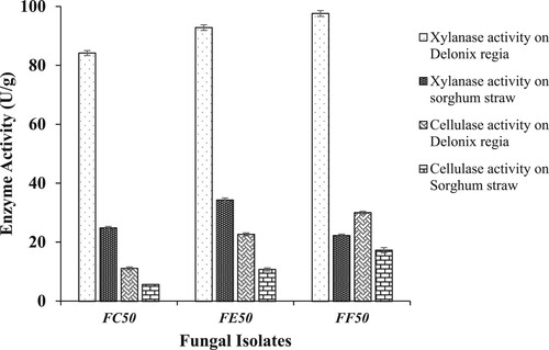 Figure 2. Xylanase and CMCase production of isolate FC50, FE50 and FF50 grown on sorghum straw and Delonix regia pods.