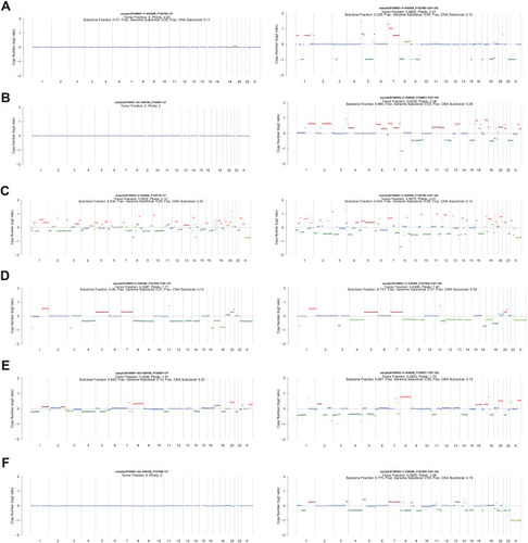 Figure 3 (A–F) Copy number variation in blood and CSF in six meningeal metastasis patients with genomic instability. The log2 ratio value is plotted on the y-axis; the x-axis represents chromosomes. Red indicates copy number gain, green indicates copy number loss, and blue indicates no change.