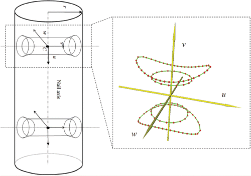 Figure 2. Geometric model of the distal part of the nail (left; a cylinder with two distal locking holes) and the model of the distal locking holes (right; an inner cylinder model with two cone trapezoid openings). The model of the DLH is described by four closed curves: two inner circles and two outer curves. [Color version available online.]