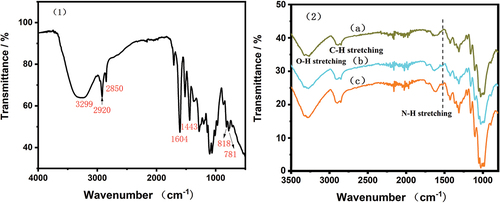 Figure 5. FTIR spectra of (1) peanut skin extracts powder and (2) the original flax fabrics: (a) untreated flax fabric, (b) chitosan pretreated flax fabric and (c) chitosan pretreated and dyed flax fabrics.