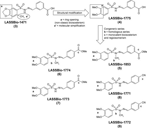 Figure 1 Genesis concept of the novel sulfonylhydrazones 4–9 from molecular modifications based on prototype 3.