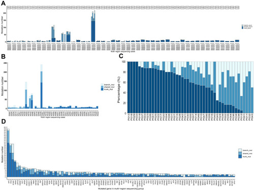 Figure 2 Stage I–III CRC exhibited high heterogeneity by measurement of mutational status from multiple samples of the same patient. Panel (A) the number of mutations categorized by trunk, shared and branch mutations for four samples from each patient. Panel (B) the number of mutations categorized by trunk, shared and branch mutations for each patients with four samples combined. Panel (C) the percentage of trunk, shared and branch mutations for each patient, ranked by the ratio of trunk mutations from high to low. Panel (D) the number of trunk, shared and branch mutations for individual genes, ranked by the total number of mutations.