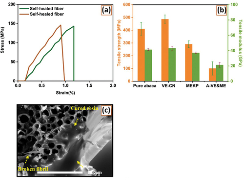 Figure 9. (a) Tensile stress-strain curves of self-healed abaca fibers, and (b) tensile strength of pure fibers, core-infused fibers, and self-healed fibers. (c) Tensile-fractured surface of self-healed abaca fiber.