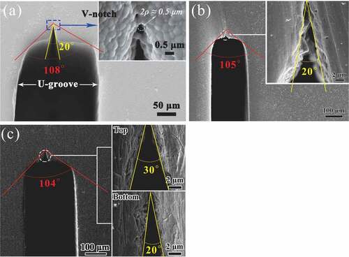 Figure 16. SEM images of (a) 3Y-TZP [Citation27], (b) Al2O3 [Citation29], and (c) 3Y-TZP [Citation28] samples with grooves and V-notches.