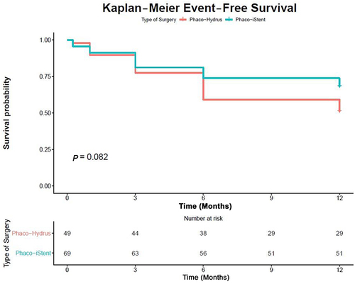 Figure 1 Kaplan–Meier survival curves for complete success up to month 12. No significant difference in survival distribution between treatment arms (p=0.082, log rank test).