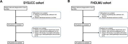 Figure 1 Flowchart of the included patients in the primary cohort (A) and validation cohort (B).