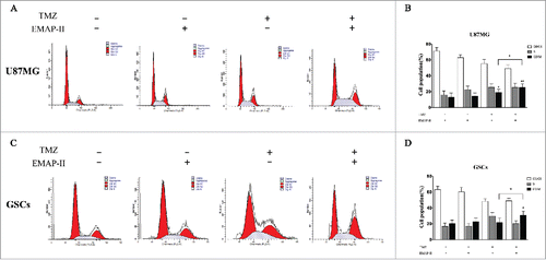 Figure 3. Effect on the cell progression. After U87MG and GSCs were treated with either TMZ or EMAP-II and combination of TMZ with EMAP-II for 72 h, the cell population in different phase were determined by flow cytometry. (A-B) U87MG treated with TMZ showed an increased proportion of the G2/M population, combined TMZ and EMAP-II induced a higher G2/M accumulation than TMZ. (C-D) GSCs treated TMZ did not show an increased proportion of the G2/M population. only combined TMZ and EMAP-II induced a higher G2/M accumulation. The values present means ± SD (n = 4, each). *p < 0.05