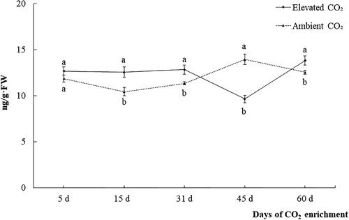 Figure 2. Effects of CO2 enrichment on JA content in carrot leaves at different stages.