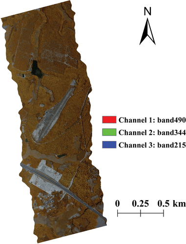 Figure 3. The data acquisition result: ultra-hyperspectral data.