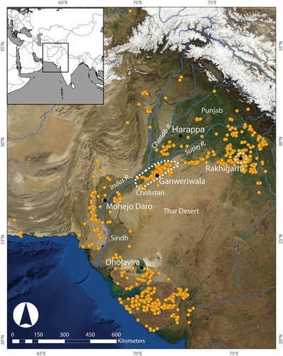 Figure 6. Map showing the distribution of Indus settlements and the location and extent of the survey regions in Cholistan (at center) and the Rakhigarhi hinterland (at right; image compiled by C. A. Petrie).