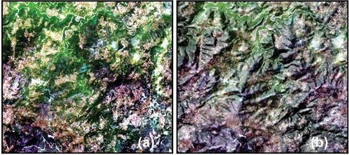 Figure 9. Original (a) and FTPP-corrected (b) colour composites for Landsat TM XS.
