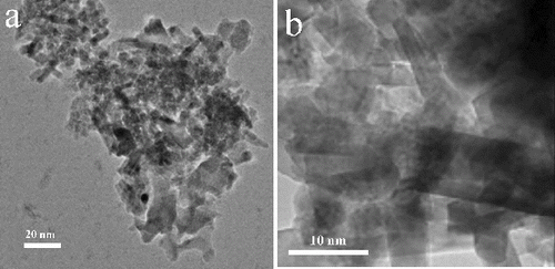 Figure 2. HRTEM images of undoped GaN nanocrystals.