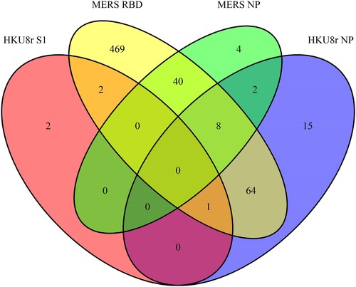 Figure 3 . Venn diagram for virus serum positivity of MERS-CoV or HKU8r-CoV. Totally 605 out of 891 camel sera that were positive for at least one of the viral proteins were included.