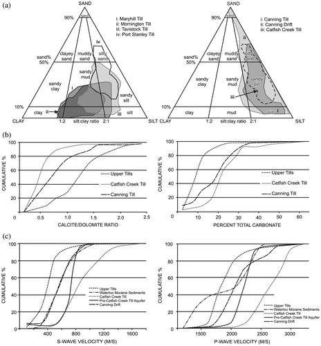 Figure 9. Overview of physical properties of lithostratigraphic units discussed in this study: (a) plot of grain-size data on Folk’s (Citation1954) ternary diagram, (b) cumulative curves of calcite/dolomite ratio and total carbonates and (c) plot of S- and P- wave vertical seismic velocities.