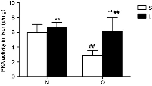 Figure 3 Protein kinase A (PKA) activity in the liver after treatment with liraglutide. Values are means ± SD (n=6 per group). A 2×2 factorial analysis was used to analyse differences. The p-value of the interaction between obesity and liraglutide treatment in PKA activity is 0.014.