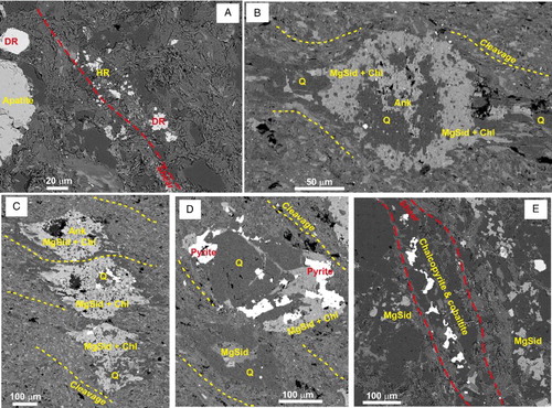 Figure 4. Backscatter electron images (SEM) of textures in host rocks near to the Birthday Reef. A, Shear with variably oriented metamorphic phyllosilicates cuts obliquely across cleavage in greywacke. Detrital rutile (DR, light grey) has been recrystallized in the shear to finer grained hydrothermal rutile (HR). Drillhole WA22, 1641 m. B, Carbonate spot with relict ankerite in the core, now replaced by Mg-siderite (Mg-Sid), quartz (Q), and chlorite (Chl). Scattered white specks are sulphides: chalcopyrite, cobaltite and galena. Drillhole WA25, 1039 m. C, Carbonate spots in which ankerite has been fully replaced by Mg-siderite, quartz and chlorite. White dots are sulphides, as in B. Drillhole WA25, 1039 m. D, Carbonate spot in rock adjacent to the vein, almost entirely replaced by quartz, pyrite, with minor Mg-siderite, and chlorite. Drillhole WA22, 1625 m. E, Mineralisation related shear disrupts Mg-siderite spots, with hydrothermal chalcopyrite and cobaltite along the shear. Drillhole WA22, 1641 m.