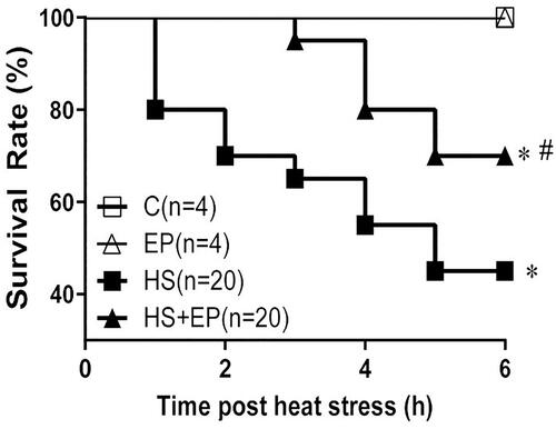 Figure 7. Effects of pretreatment with ethyl pyruvate (EP) on survival rate of HS rats. The survival rate was calculated per hour and observed during 6 h after HS induction. *p< .05 versus C group, #p < .05 versus HS group.