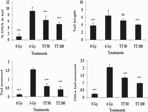 Figure 2 Protection against radiation-induced DNA damage in bone marrow cells. TT: Ganoderma triterpenes (μg/ml). Data represented as mean ± SD, from three individual experiments, ***P < 0.001, nsP > 0.05 (Bonferroni test) with respect to damage group.