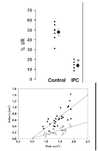 Figure 1 The effect of ischemic preconditioning on infarct size after ischemia/reperfusion. Upper panel:infarct size expressed as percent of risk zone size in control and preconditioned (IPC) rabbit hearts (from CitationIliodromitis et al 2006); lower panel: the absolute infarct volume plotted against absolute risk zone volume from control (closed symbols) and preconditioned (open symbols) hearts (from CitationIliodromitis et al 2004).