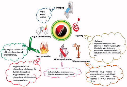 Figure 2. Some applications of magnetic nanocomposites.