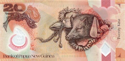 Figure 1. The reverse side of the 2015 issue Papua New Guinea Twenty Kina.