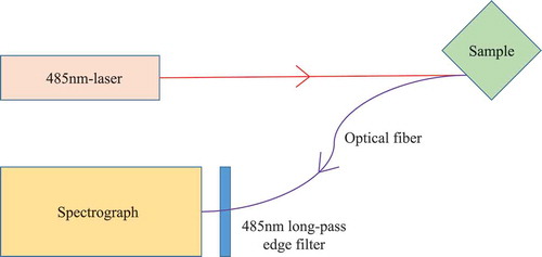 Figure 1. Schematic of the experimental set-up.Figura 1. Diagrama esquemático del montaje experimental.