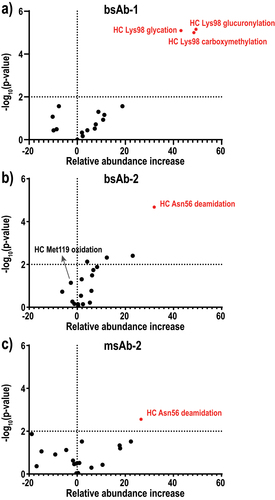 Figure 4. Volcano plot for attribute criticality assessment using competitive-binding and bottom-up analysis in (a) bsAb-1, (b) bsAb-2, and (c) msAb-2. The x-axis represents the percent increase in relative abundance of each attribute from the unfractionated control sample to the unbound fraction. The vertical dashed line (x = 0) represents no difference in abundance between the two samples. (4a) volcano plot of 17 attributes in bsAb-1 using relative abundance increase and p-value, showing only HC Lys98 glycation, carboxymethylation and glycation exhibited statistically significant abundance increases. (4b) volcano plot of 18 attributes in bsAb-2 using relative abundance increase and p-value, showing only HC Asn56 deamidation exhibited statistically significant abundance increase. (4c) volcano plot of 18 attributes in msAb-2 using relative abundance increase and p-value, showing only HC Asn56 deamidation exhibited statistically significant abundance increase.