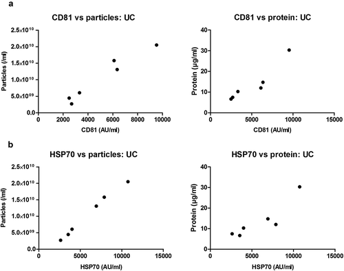Figure 6. Correlation of sEV marker signal and particle or protein concentration of vesicles isolated by UC of rat blood plasma.Particle (left panels) or protein (right panels) concentration of UC samples plotted against CD81 (a) or HSP70 (b) marker signal. Positive correlations were found for all four panels ((a): CD81 vs particles: p < 0.001; Pearson’s correlation test, Pearson r = 0.975. CD81 vs protein: p < 0.01; Pearson’s correlation test, Pearson r = 0.938. (b): HSP70 vs particles: p < 0.0001; Pearson’s correlation test, Pearson r = 0.996. HSP70 vs. protein: p < 0.05; Pearson’s correlation test, Pearson r = 0.899).