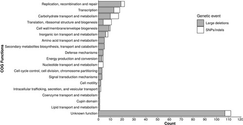 Figure 5. Cluster of orthologous groups functions of the genes affected by deletions or non-synonymous mutations among the 58 E. faecalis genomes.