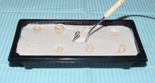 Figure 4 Alginate apparatus for electronic working length determination.