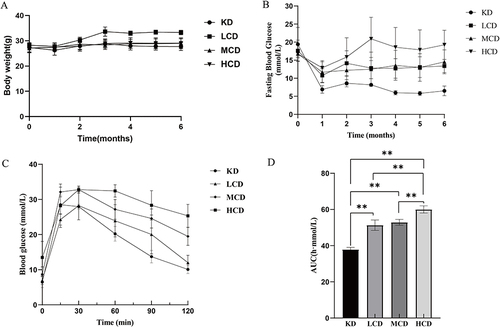 Figure 1 Effects of different carbohydrate content diets on body weight and glycometabolism. KD group: ketogenic diet group (n=6); LCD group: low-carbohydrate diet group (n=6); MCD group: medium-carbohydrate diet group (n=6); HCD group: high-carbohydrate diet group (n=6) (A) Body weight, (B) Fasting blood glucose, (C) Glucose tolerance and (D) Area under the curve of glucose tolerance test. **represents P<0.01.