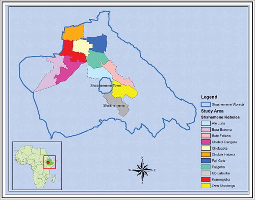 Figure 2. Sites selected for feasibility and costing of oral cholera vaccination in Ethiopia. Created by ArcGIS 10.2 for Desktop.