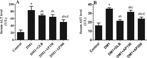 Figure 4. Serum levels of alanine aminotransferase (ALT) (A) and aspartate aminotransferase (AST) (B) in all experimental groups of rats. Data are expressed as mean ± SD (n=10). Values were considered significantly different at p < 0.05. a: significantly different as compared to control non-diabetic rats. b: significantly different as compared to streptozotocin-induced diabetic rats (DM1). c: significantly different as compared to DM1 + glimepiride (GLB)-treated rats. d: significantly different as compared to DM1 + Aloe perryi (AP) (150 mg/Kg)-treated rats. AP300: Aloe perryi (AP) (300 mg/Kg).
