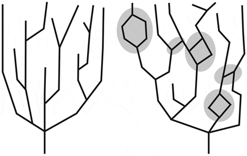 Figure 1. Regular hierarchy (left) and reticulated hierarchy (right; both images from Winder and Winder Citation2014, 301).