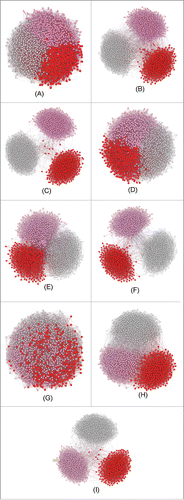 Figure 7. Homophilic dynamics representing obesity network for the architectures and initial distribution of states of Figure 5, with tolerance equal to 0.25 and connection probability of Version 3. Initial conditions (A), (D) and (G); middle configurations (B), (E) and (H) and final configurations (C), (F) and (I).