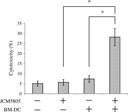 Fig. 2. NK cells cytotoxicity induced by co-culture with BM-DC stimulated by JCM5805. BM-DC were cultured for 8 h with or without 10 μg/mL heat-killed JCM5805 and then co-cultured for 12 h with NK cells isolated from C57BL/6 J spleens using negative selection by magnetic cell separation. After 12 h co-culturing, YAC-1 cells, a target of NK cells, were added and the rate of dead YAC-1 cells was analyzed by flow cytometry. Statistical comparisons were performed using the Student’s t-test. Significant differences were compared to the control group, *p < 0.05.