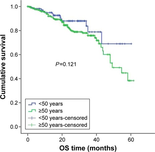 Figure 6 OS in younger and older patients receiving MP/VAD treatment.
